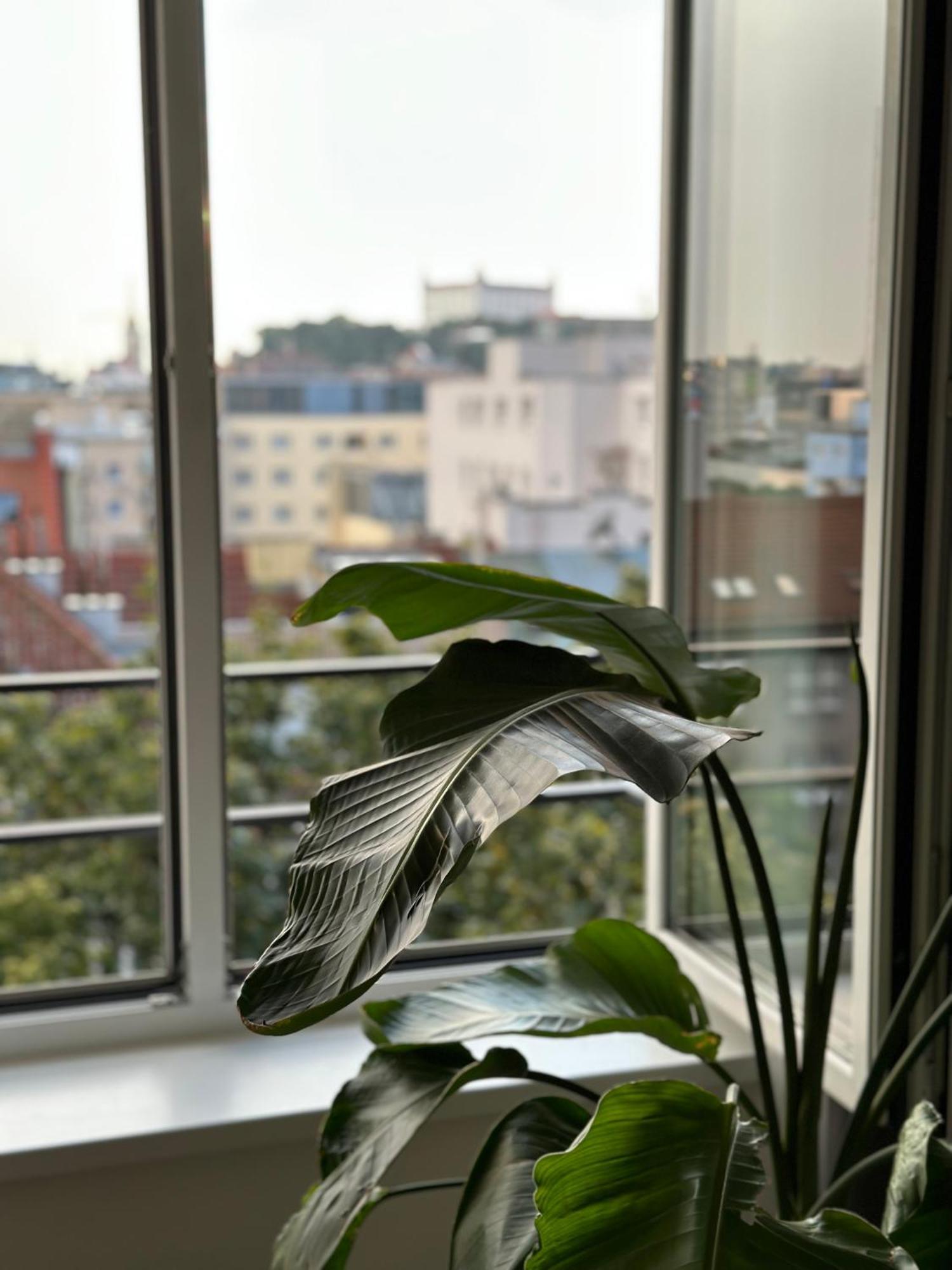 Urban Zenhouse No.2 - Breakfast Included Daire Bratislava Dış mekan fotoğraf